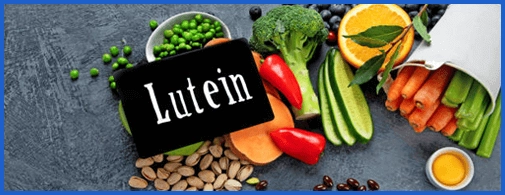 Healthy Digestion Support